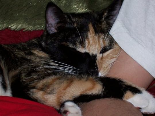 How can I write when I have this cutie on my arm??