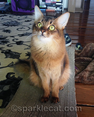 Practicing my angelic look!