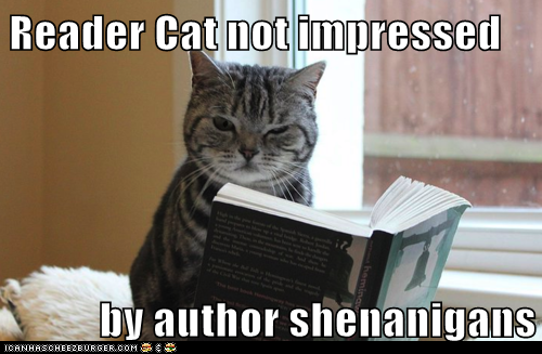 Reader Cat not impressed by author shenanigans