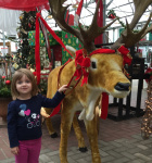 Look Papa a Reindeer, but this isn't Rudolph