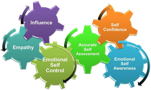 EI Competencies