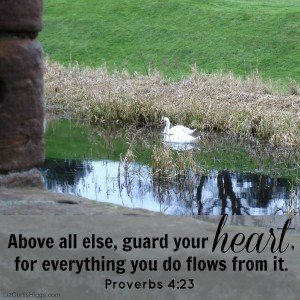 Proverbs 4:23