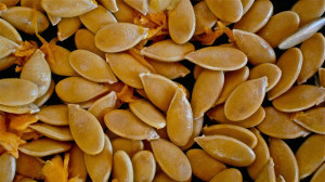 Pumpkin seeds 
