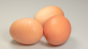 eggs