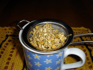 chamomile