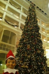 Grand Floridian sELFie!