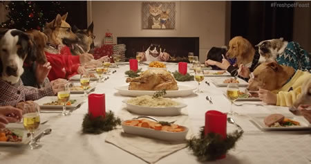 pet feast
