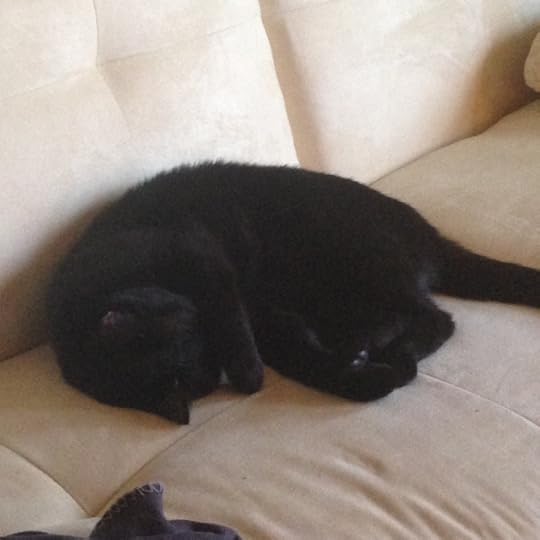 Commercial Photography