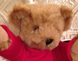 BEARFACE