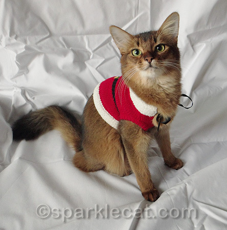 This was even too small for Sparkle