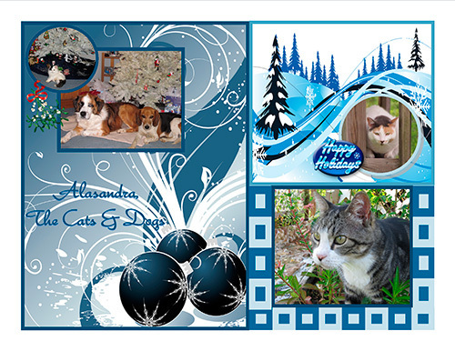 Alasandra, the Cats and Dogs