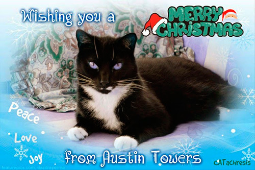 Catachresis, with Austin Towers