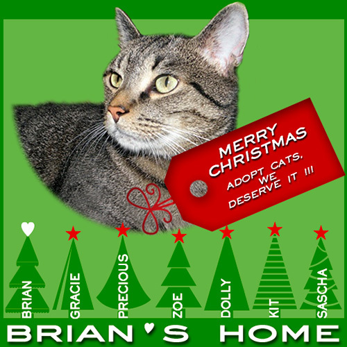 Brian's Home