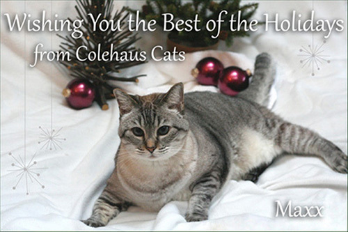 The Colehaus Cats