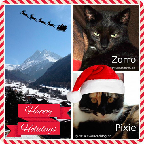 The Swiss Cats
