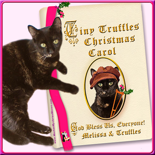 Melissa's Mochas, Mysteries and Meows