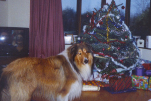 sally wedding day 1980