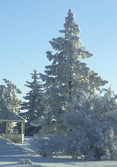 Frosty Gazebo and trees