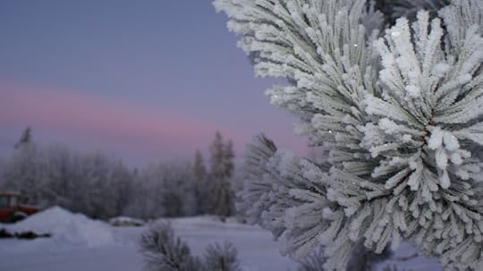 Frosty sunrise in December