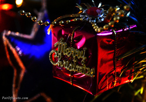 photo credit: Joseph Jayanth via photopin cc
