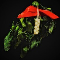 dish_mistletoe