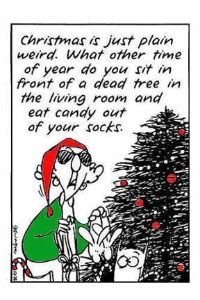 maxine xmas