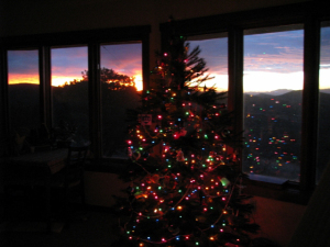 My Xmas tree at sunrise.