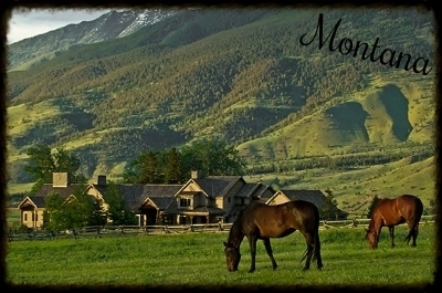  photo 81c237d5-b2c6-4c9c-9472-c236fc4119e5.jpg