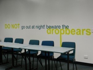 The drop bear situation