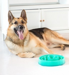 Slo-Bowl-image-640x692