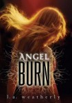 Angel Burn