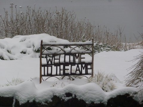 Brrr!