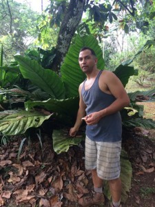 jose arias