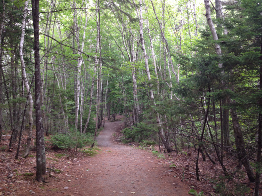 Belcher's Marsh trail