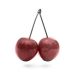 two_cherries04