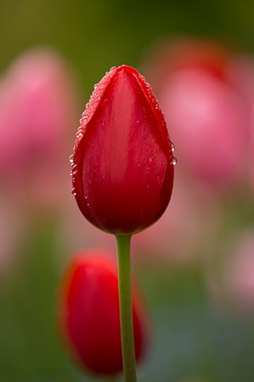 © Harold Davis