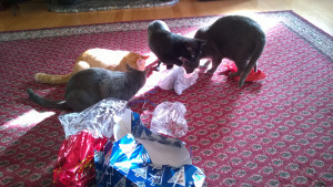 CatsXmas