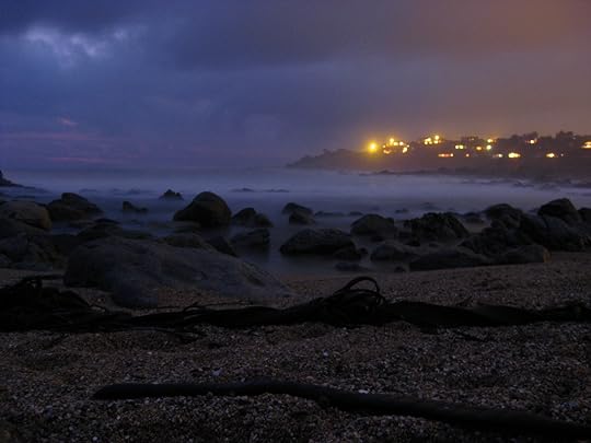 Isla Negra