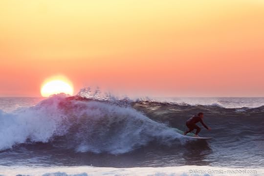 surfero