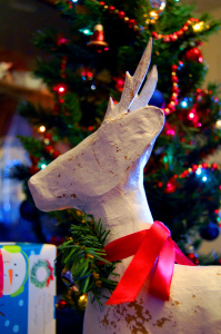 Reindeer . . . or Stag?