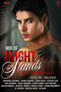 17 Sizzling Nights - Box of 1Night Stands Volume 2