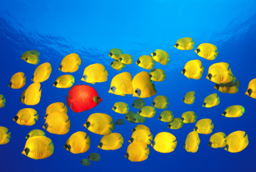 Najčvršći sam u sumnjama svojim