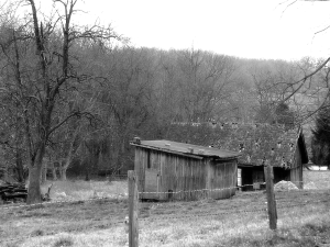 OldShed2