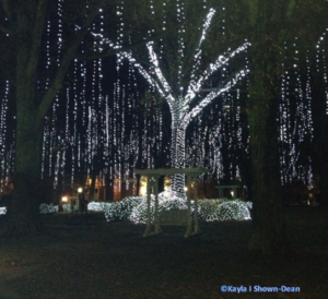 treeswinglights