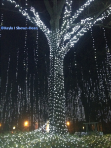 treelights
