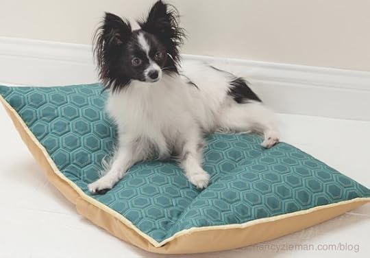 Free-Motion Machine Quilting for Beginners/Molly Hanson/Nancy Zieman/Sewing With Nancy