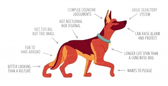 blogdog