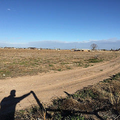 Morning run in NM #dirtroads