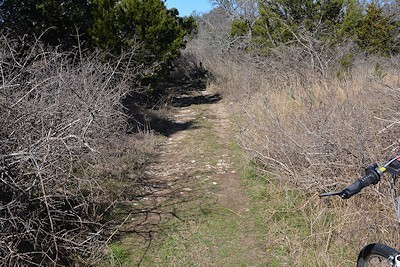 FoxPav-trail-entrance-trimming