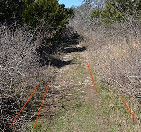 FoxPavTrail-cutlines